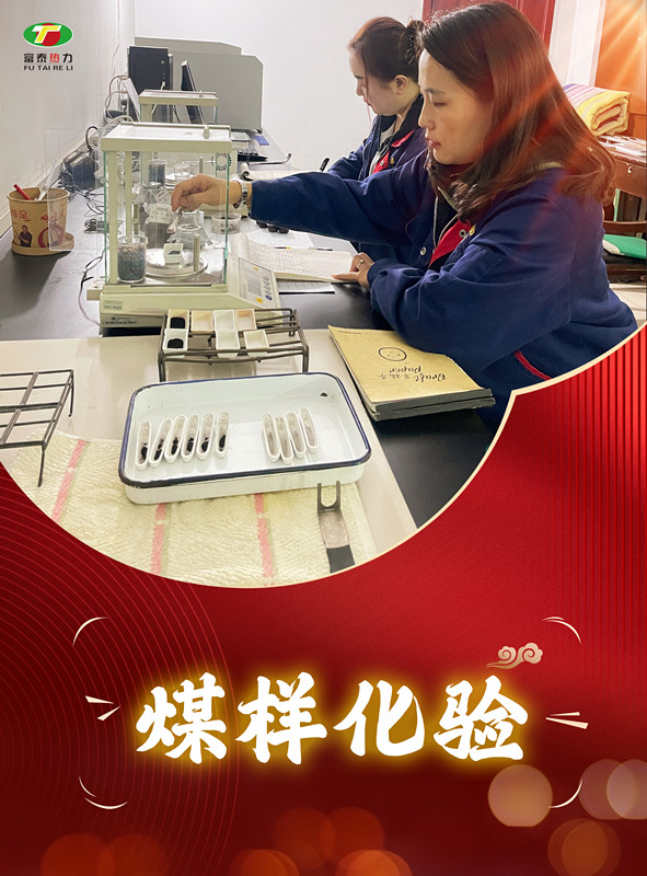 煤樣化驗_副本.jpg